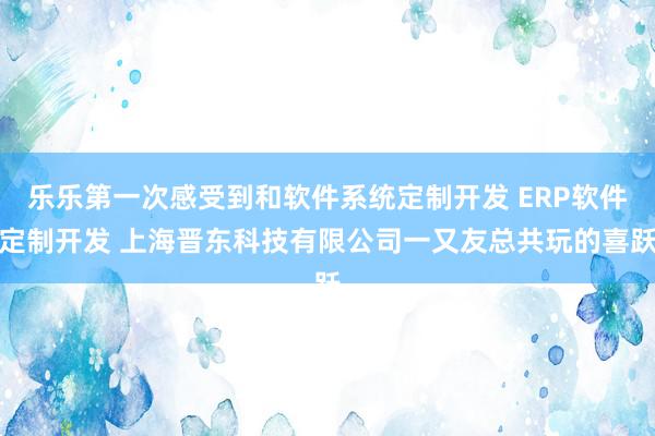 乐乐第一次感受到和软件系统定制开发 ERP软件定制开发 上海晋东科技有限公司一又友总共玩的喜跃