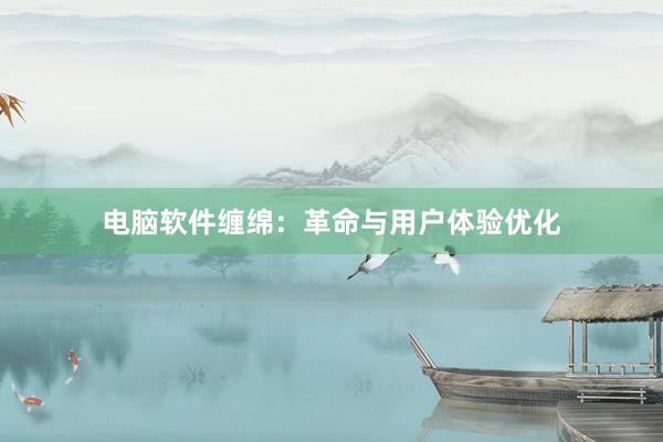 电脑软件缠绵：革命与用户体验优化
