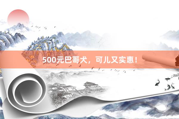 500元巴哥犬，可儿又实惠！